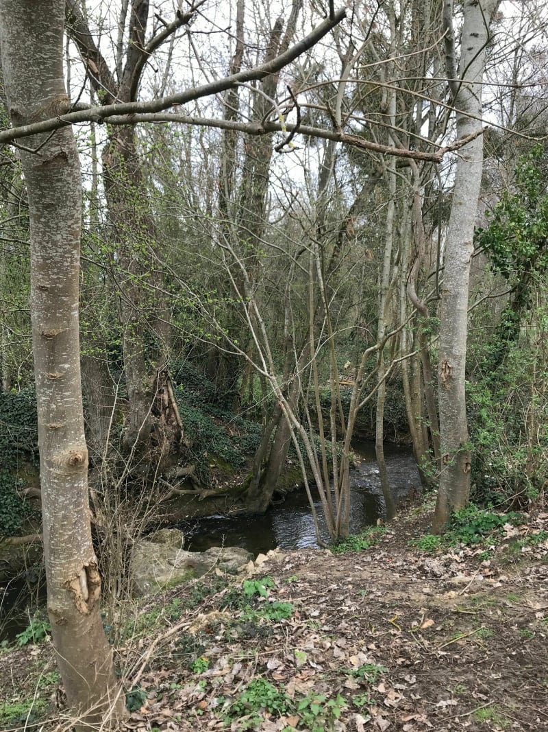 Vallée et Etang de la Brosse, par Moulin Russon - Bussy-Saint-Georges