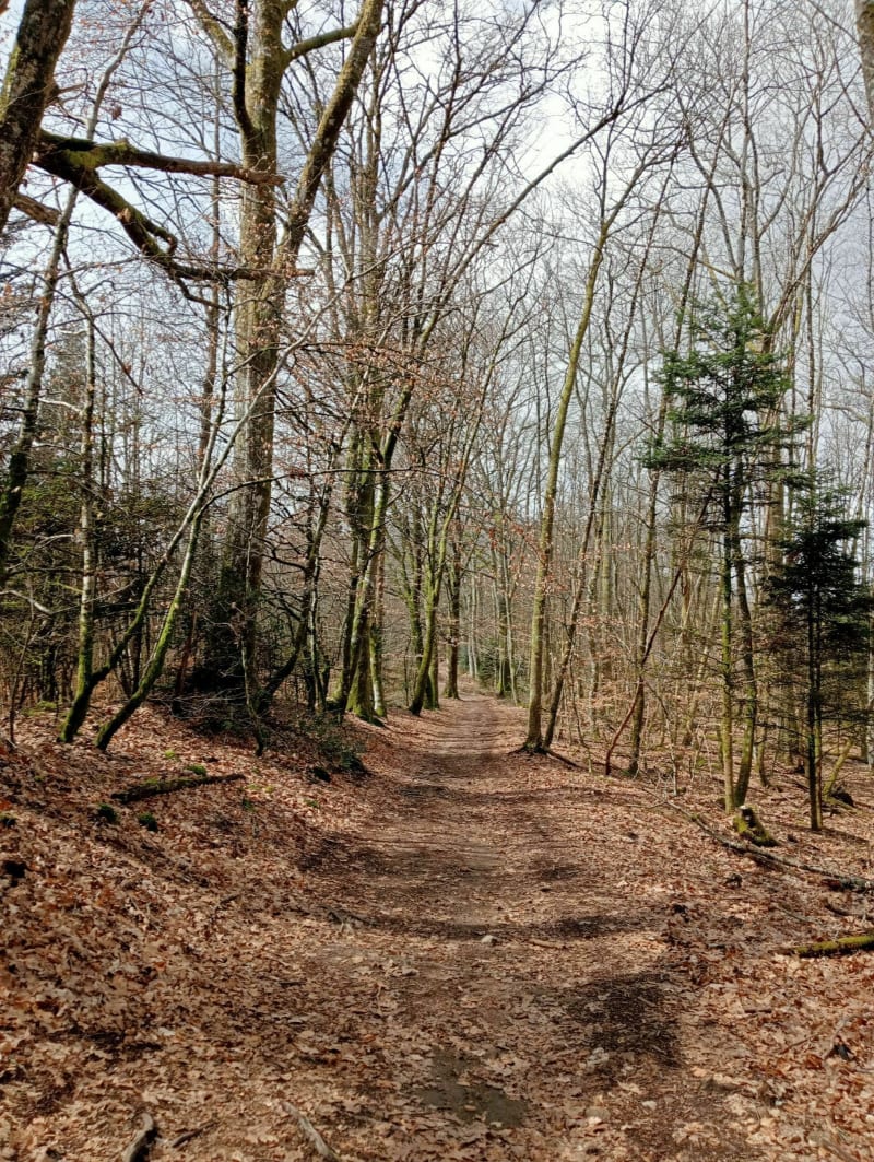 De Limoges à Bonnac-la-Côte à VTT - Limoges