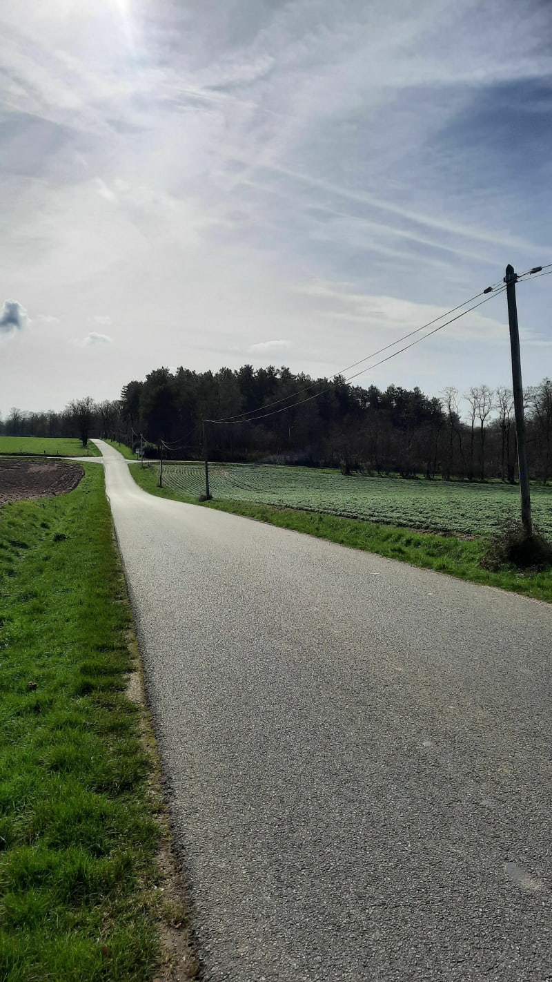 Les 5 chemins autour de Châtillon sur Loire - Châtillon-sur-Loire