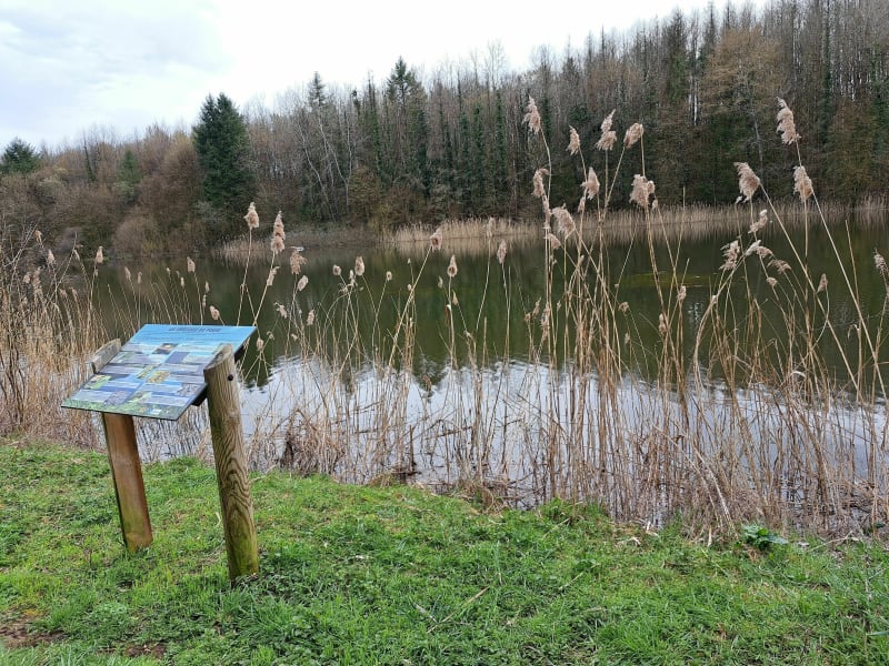 Balade tranquille Trieux- Fontoy - Trieux