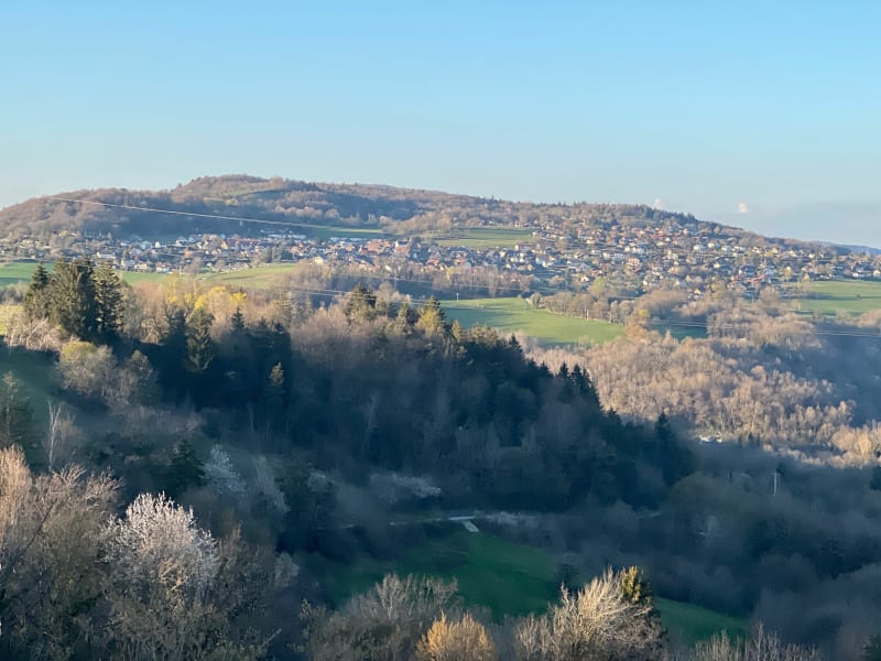 Promenade entre champs et sous-bois à Chavanod - Chavanod