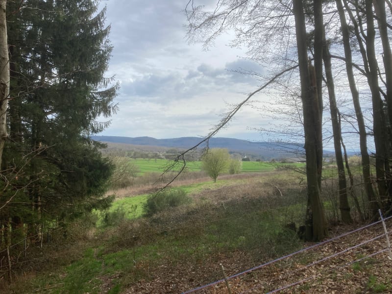 De Wingen à Gimbelhof par le Col du Litschhof - Wingen