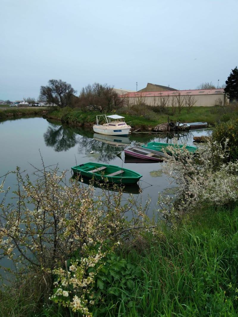 Belle balade port olonna-paracou-les salines-la ch'noue - Les Sables-d'Olonne
