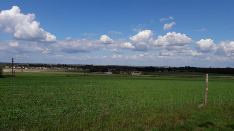 Chemin rural de Tigy par le Bois de Balesme - Tigy
