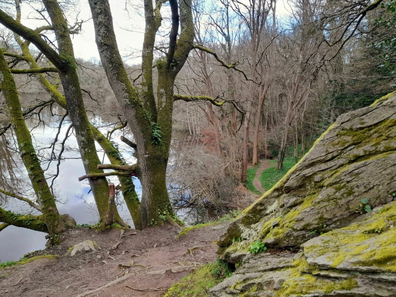Balade nature le long du Gesvres - La Chapelle-sur-Erdre