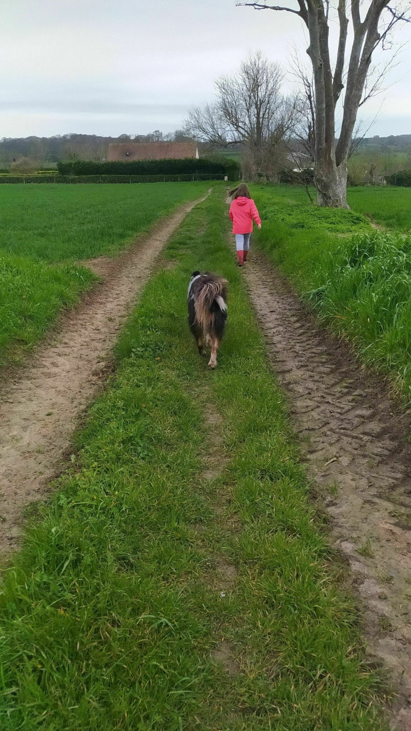 Russy chemin de campagne par le Cachot - Aure sur Mer