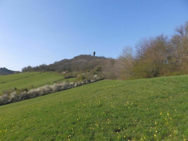 Les 6 Monts d'Or Lyonnais - Saint-Didier-au-Mont-d'Or