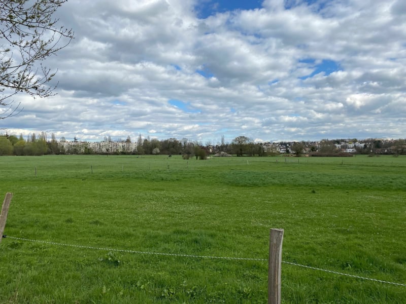 Balade en forêt au Mont Griffon et l'île Panchout - Yerres