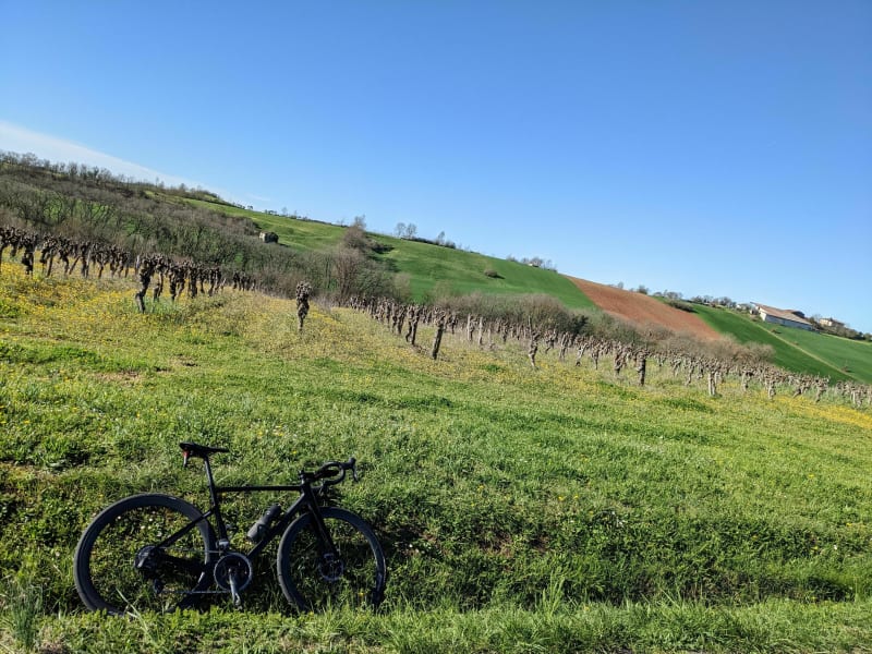 Plaisir sur route à travers les vignes - Albi
