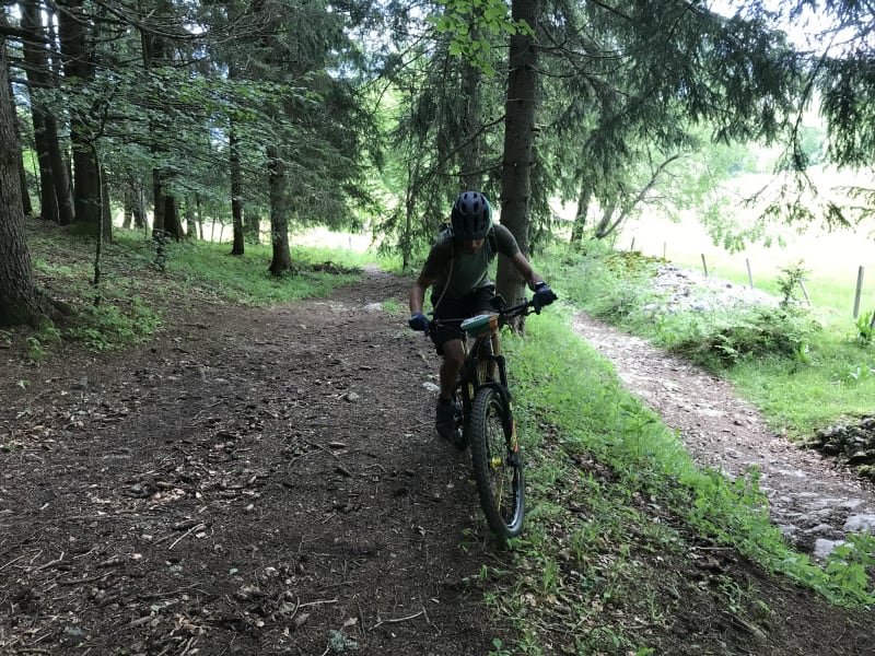 La forêt de Louroux à VTT - Venas