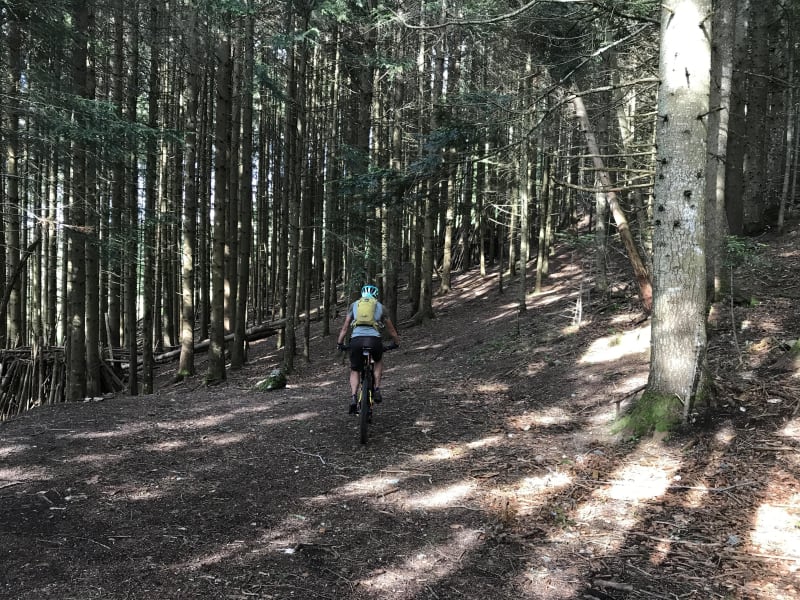 Sur les haut de Gréoux les bains - Gréoux-les-Bains