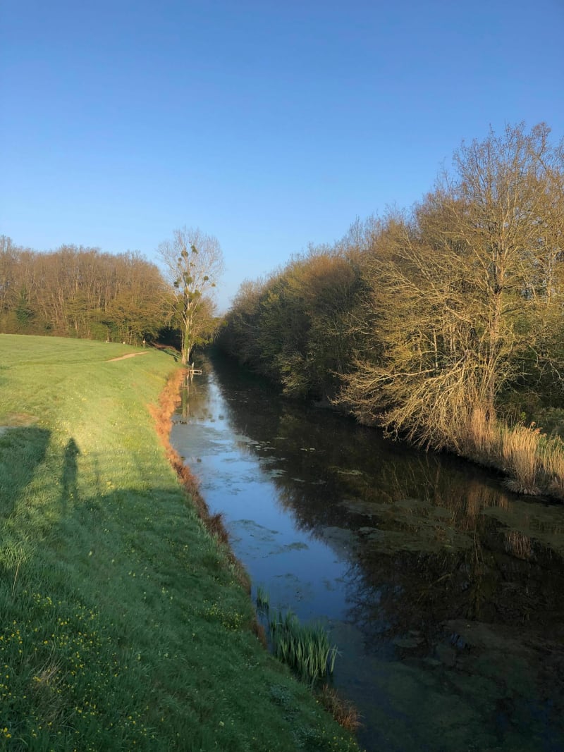 Boucle de Sury à Vitry en passant par Combreux - Sury-aux-Bois