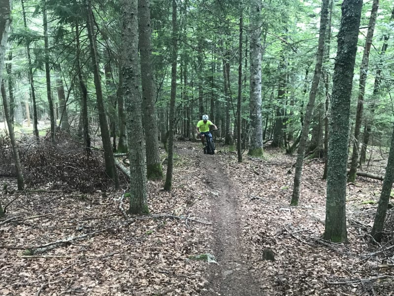 Le tour de la Gloriette par Coullons à VTT - Lion-en-Sullias