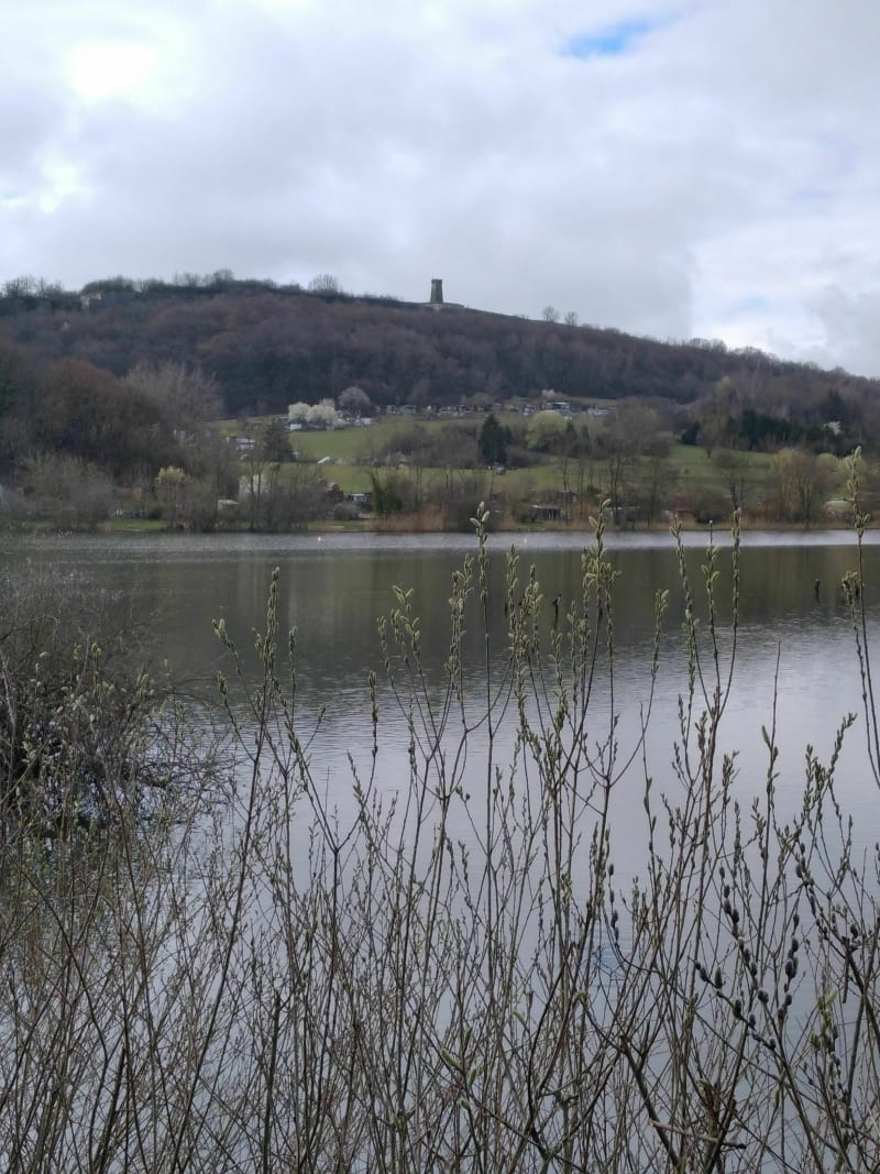Balade sur les hauteurs de l'étang des Forges - Belfort