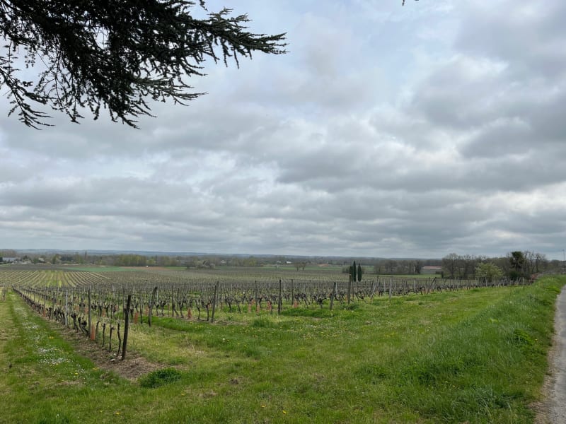 Petit tour de Saint Même les Carrières - Saint-Même-les-Carrières