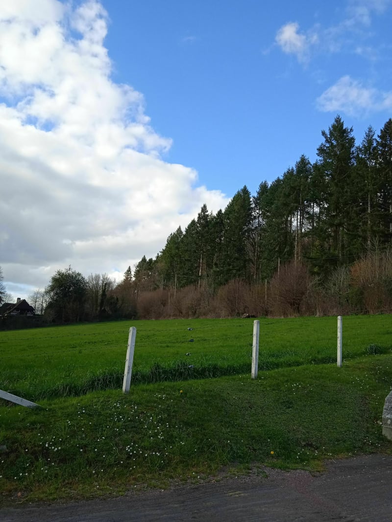 Rando autour de Saint-Hymer - Saint-Hymer
