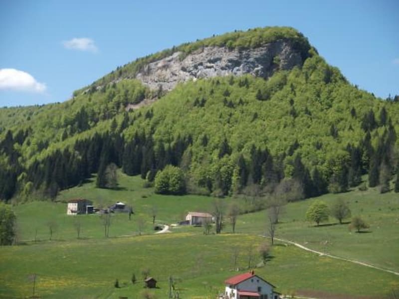 La montée du Mont Fier - Prémanon