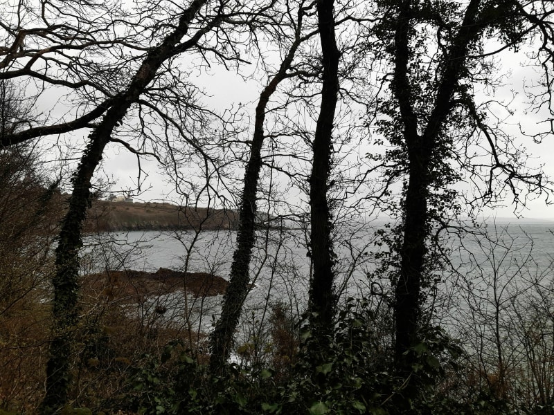 Bois chemin côtier : un peu de dénivelé du Dellec au Mengant - Plouzané