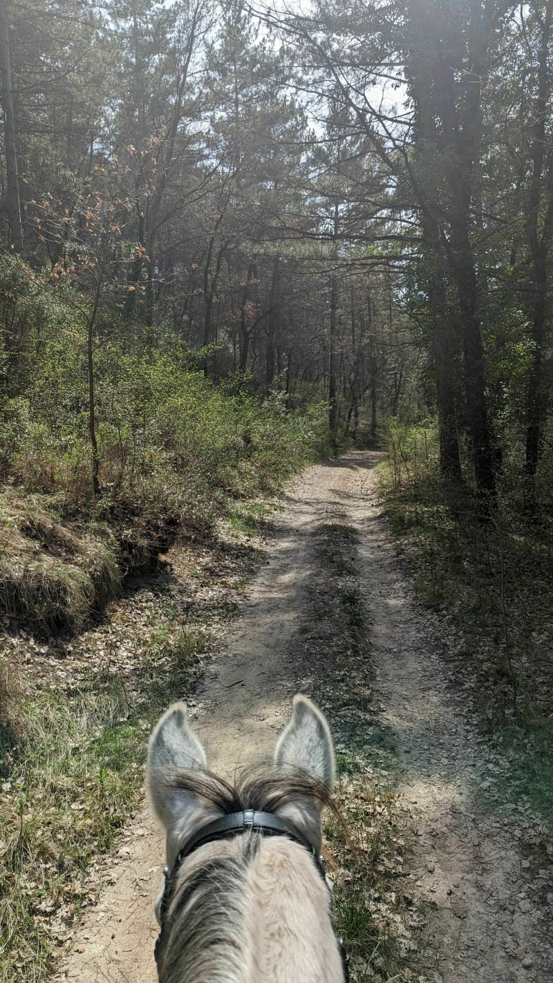 Villelaure par les Terre Blanche et la Digue de la Garde à VTT - Pertuis