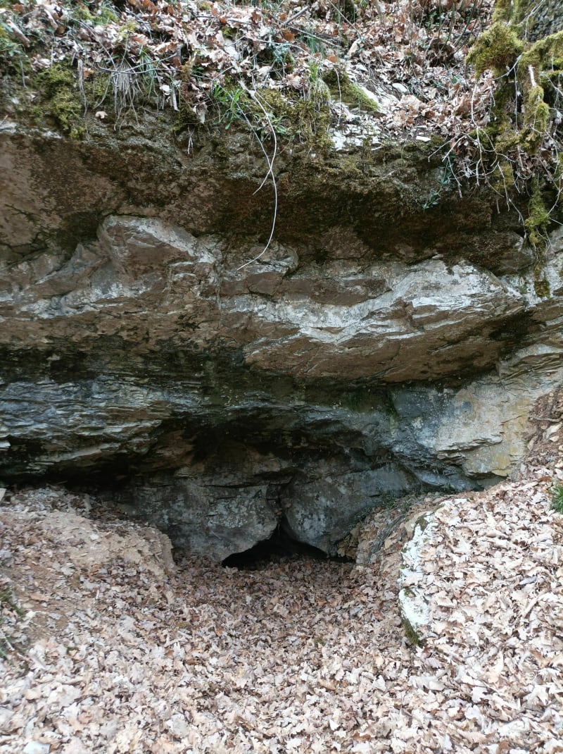 BRIAN DE VERE, belle randonnée dans les coteaux de BRUNIQUEL - Bruniquel