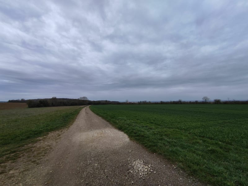 Route d'Habonville depuis Amanvillers - Amanvillers