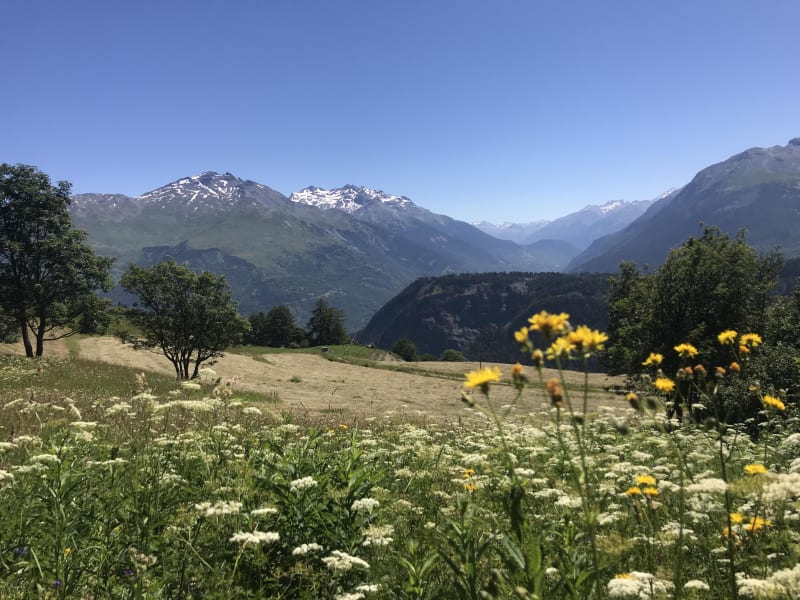 Small Plagne à la retenue du Bec de l'Aigle - Montricher-Albanne