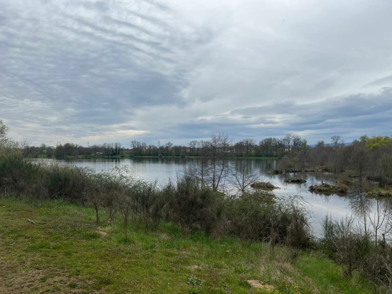 La gravière aux oiseaux - Mably