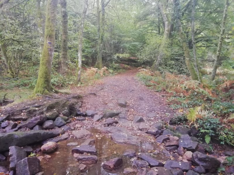 Le Puy du Fros par l'Etang des Gardèches à VTT - Ambazac