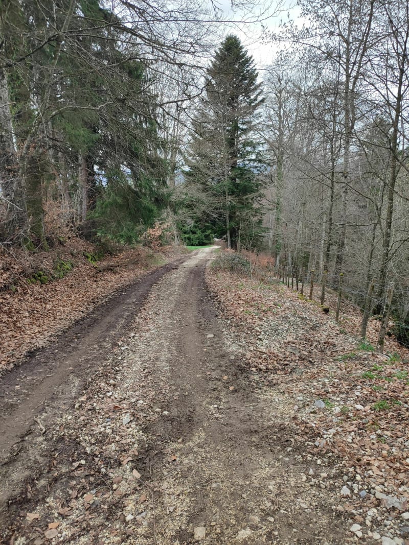 Boucle au départ de "chez les Maîtres" - Menthonnex-en-Bornes