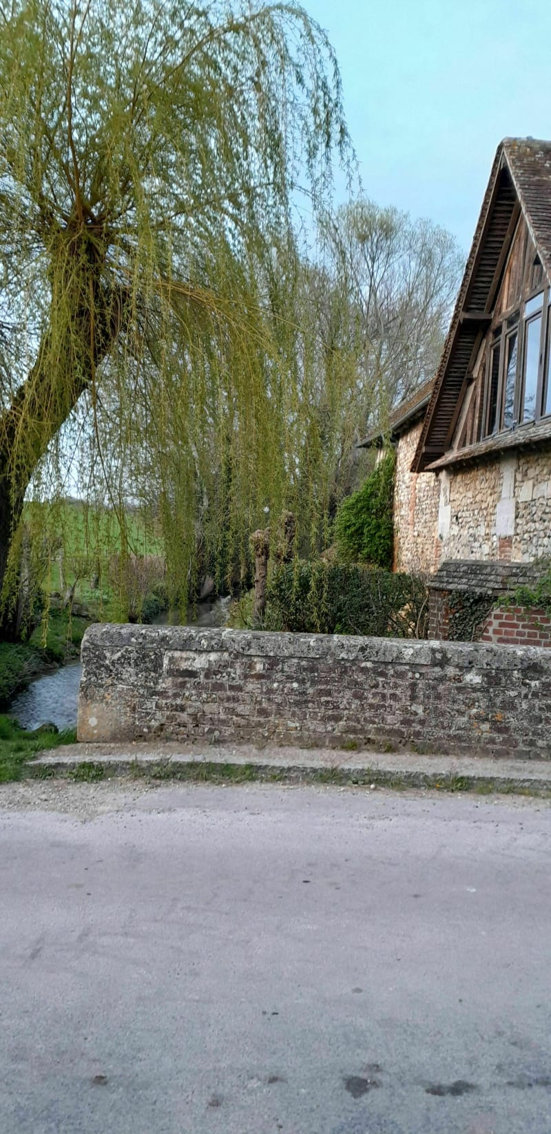 Balade au crépuscule aux sources du Sillé - Silly-Tillard