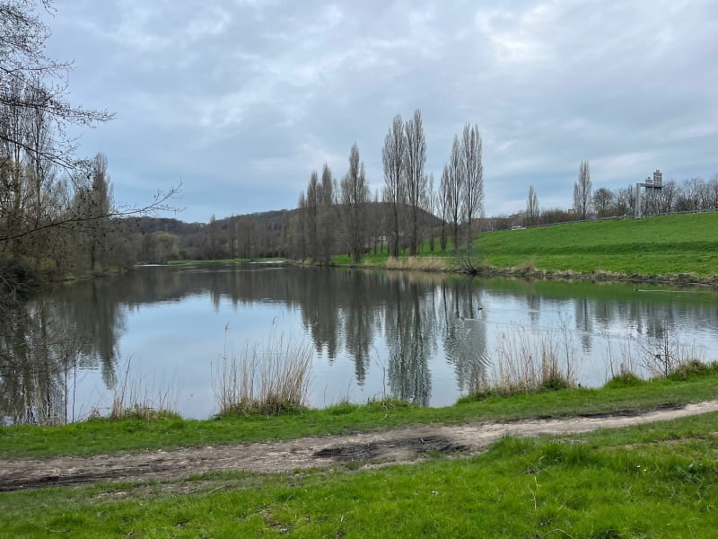 Balade au bord de la Lézarde et le parc de Rouelle - Harfleur