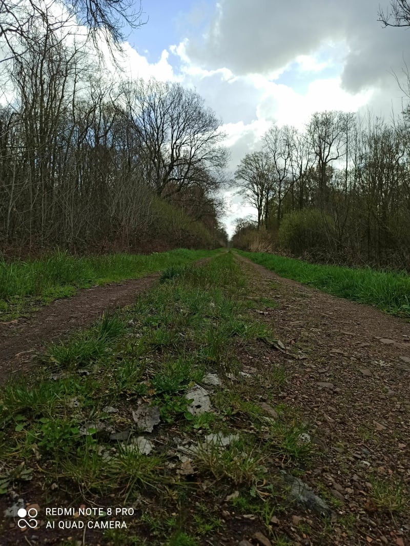 Balade entre routes de campagne et chemins à Hornaing - Hornaing