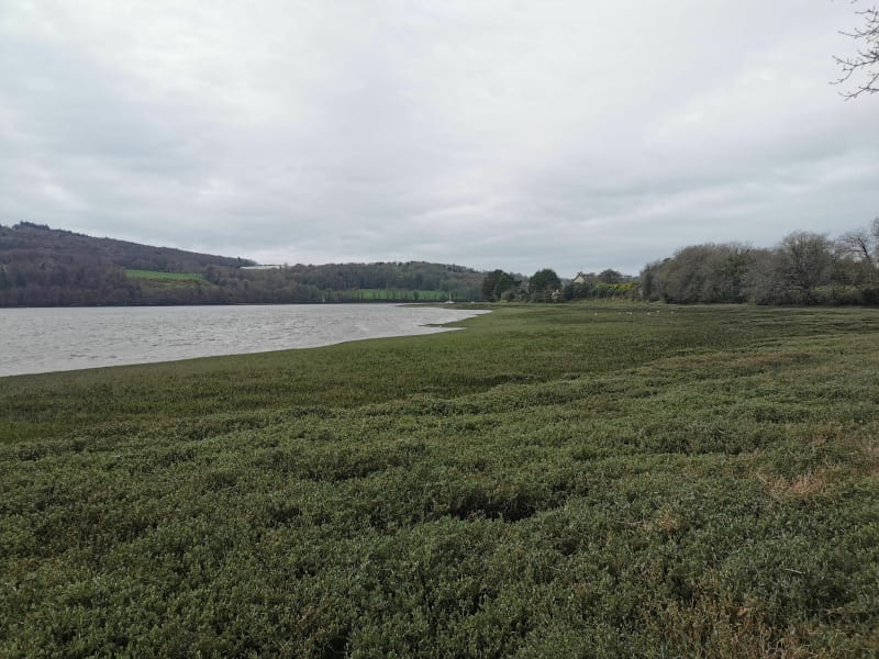 Rives de l'Elorn par Penvern - Guipavas