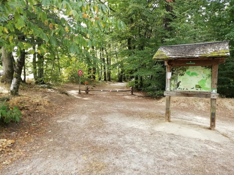 Découverte de la forêt des Loges depuis les Bouchats - Saint-Priest-Sous-Aixe