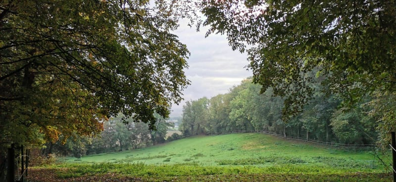 Le Chemin de la Couture Comblée - Thélus