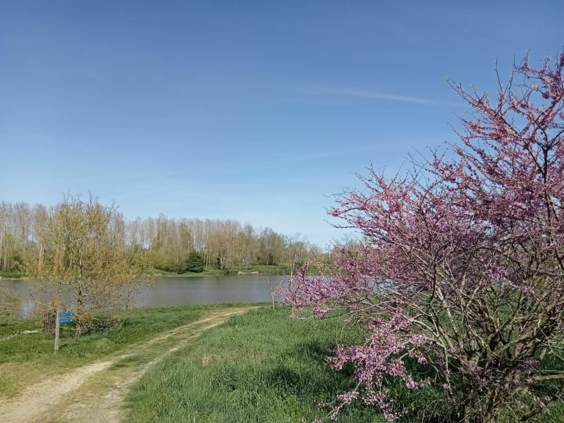 Lacs de Nerbis - Nerbis