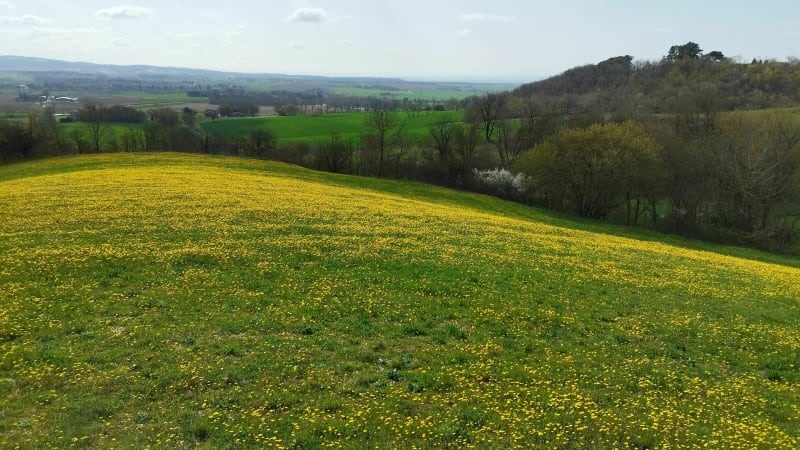 Tour en Lauragais par Pompertuzat et Montesquieu à Vélo - Labastide-Beauvoir