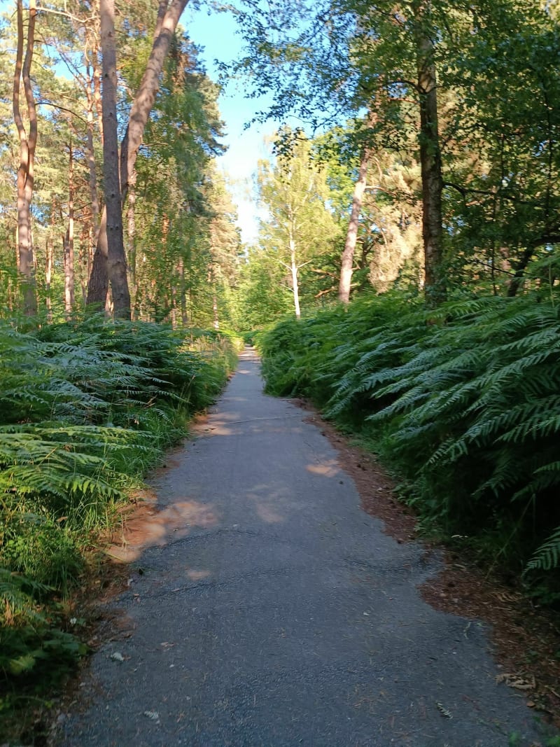Grand tour en forêt de Rambouillet par Locacycles - Les Bréviaires