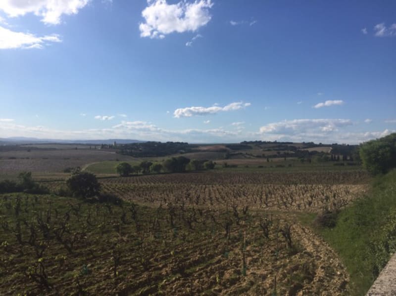 Châteauneuf du Pape à vélo par les Grandes Galiguières - Châteauneuf-du-Pape