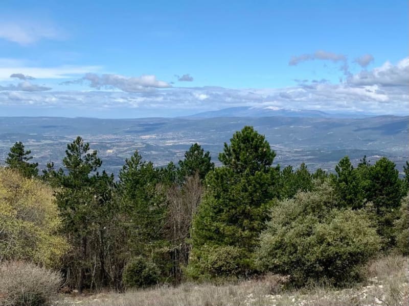 Sur les crêtes du Luberon - Lourmarin