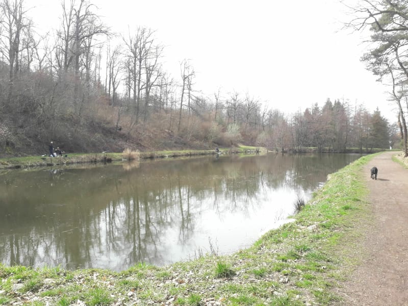 Balade champêtre à partir de Roche la Molière - Roche-la-Molière
