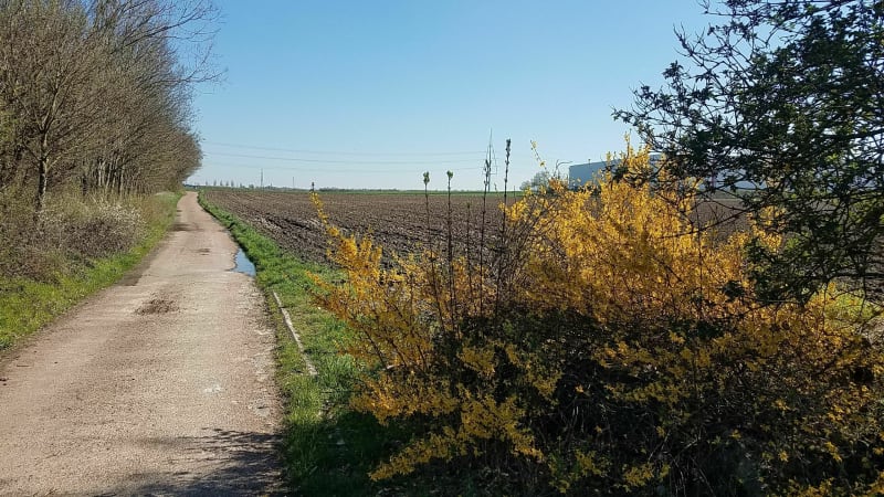 Le rat des villes et rat des champs à Courcelles les Lens pour VTT - Courcelles-lès-Lens