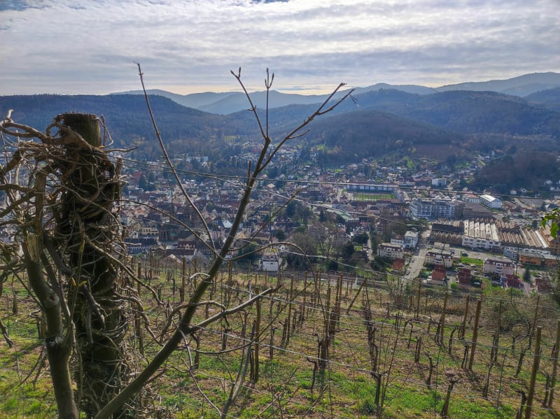 Sortie à Guebwiller promenade Dreibannstein - Guebwiller