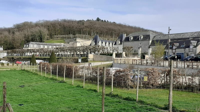 Au bord du Cher à Villandry - Villandry