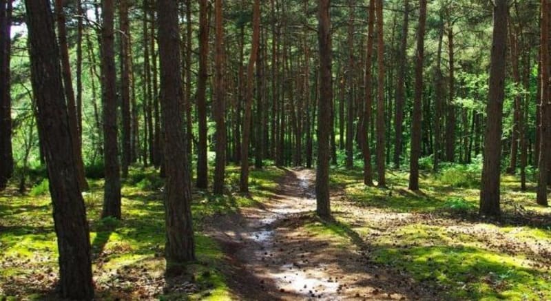Découverte VTT dans la vallée de Chevreuse depuis Gif - Gif-sur-Yvette