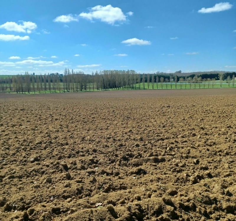 Un peu plus près des étoiles - Montestruc-sur-Gers