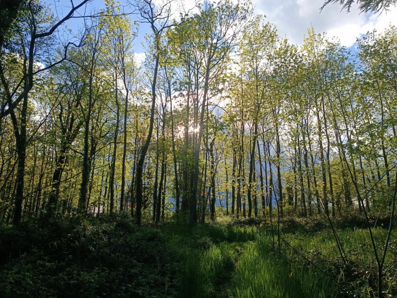 Sur la trace des crapauds à Saint Andéol le Chateau - Beauvallon