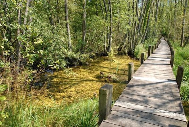 Balade autour de Tête Fière  et le Bois Campon - Châtillon-Saint-Jean