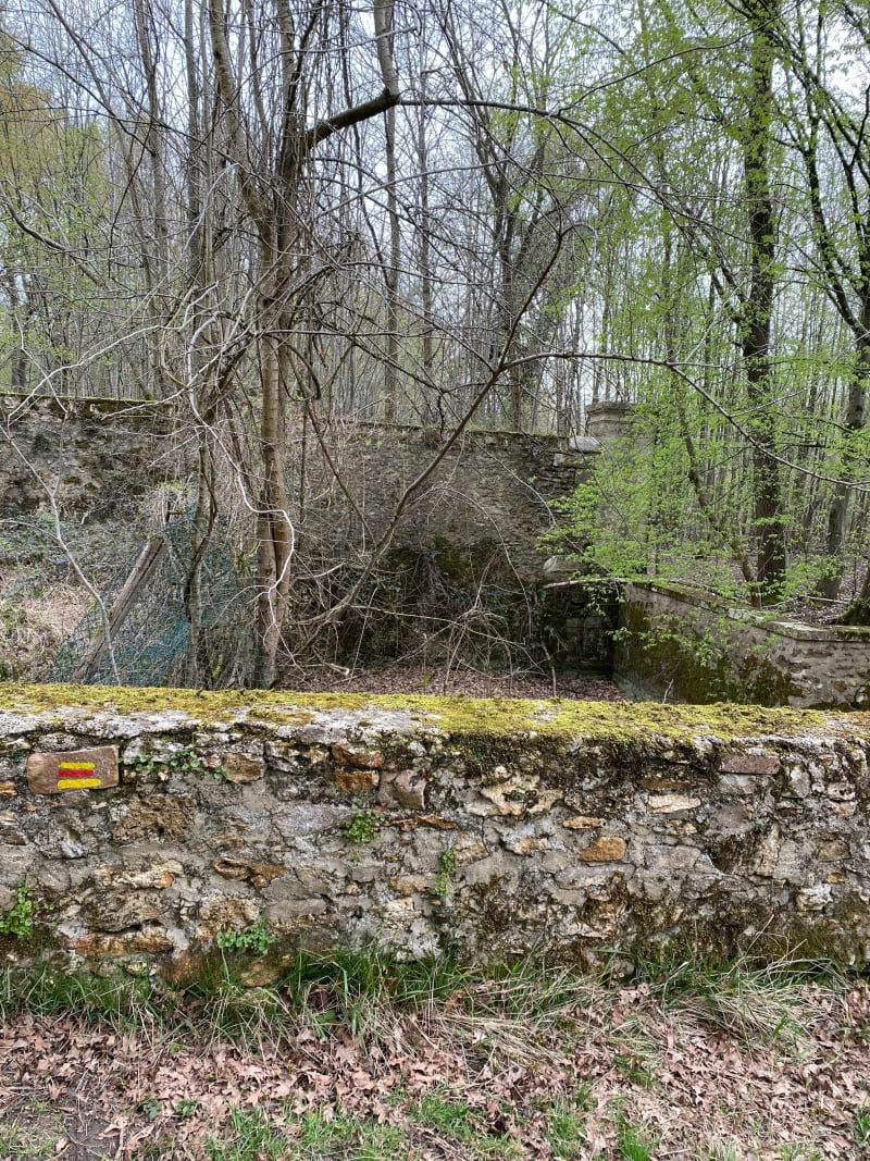 Balade en forêt domaniale de Grobois - Yerres
