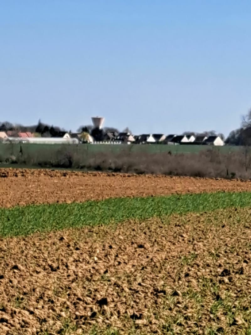 Belle balade à Ansacq en traversant la forêt de Laneuville - Ansacq